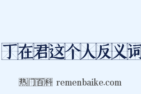 丁在君这个人反义词是什么意思的图片